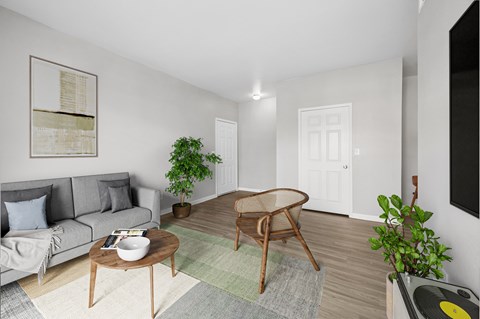A living room with a grey couch, a coffee table, a plant, and a rug.