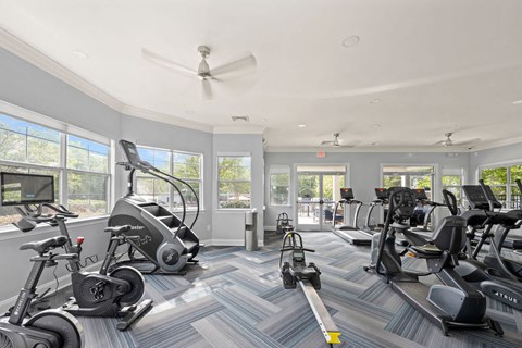 Cardio equipment section of the fitness center with windows wrapping the room