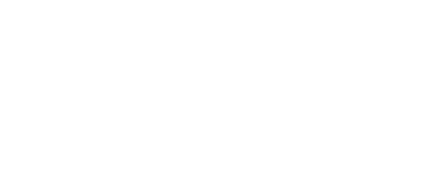 100 logo