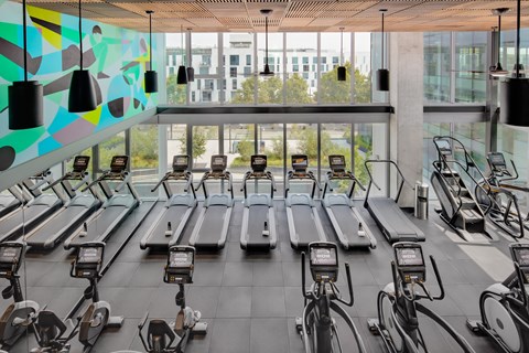 A gym with treadmills and exercise bikes.