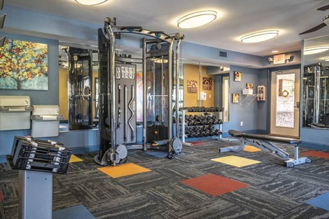 A gym with a variety of equipment including a squat rack, a bench, and a weight machine.