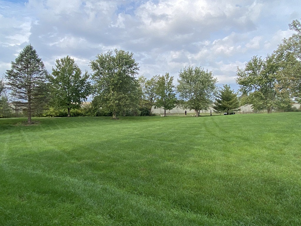 a large grass field with trees in the background