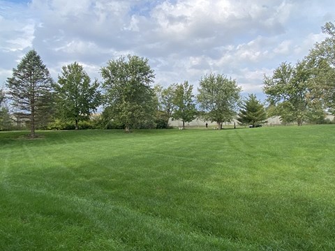a large grass field with trees in the background