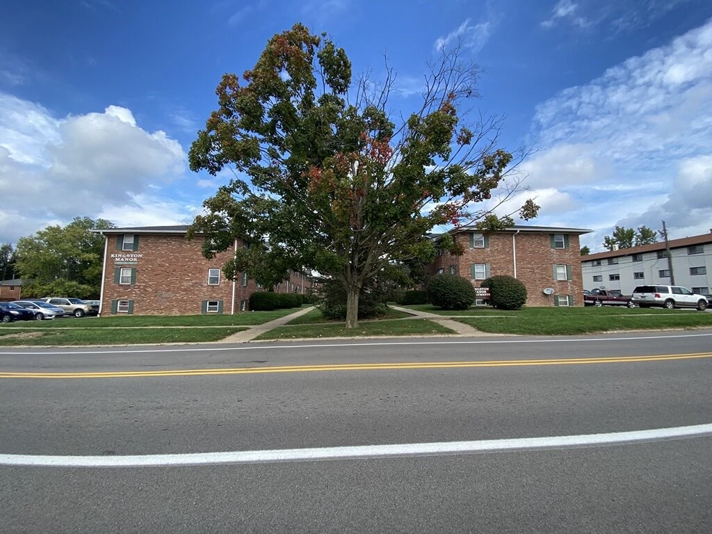 a tree in the middle of a street in front of an apartment building