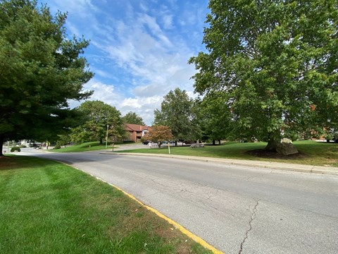 a street with trees on the side of a road