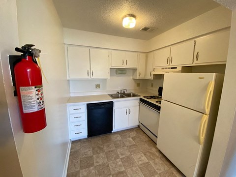a kitchen with white cabinets and a fire hydrant