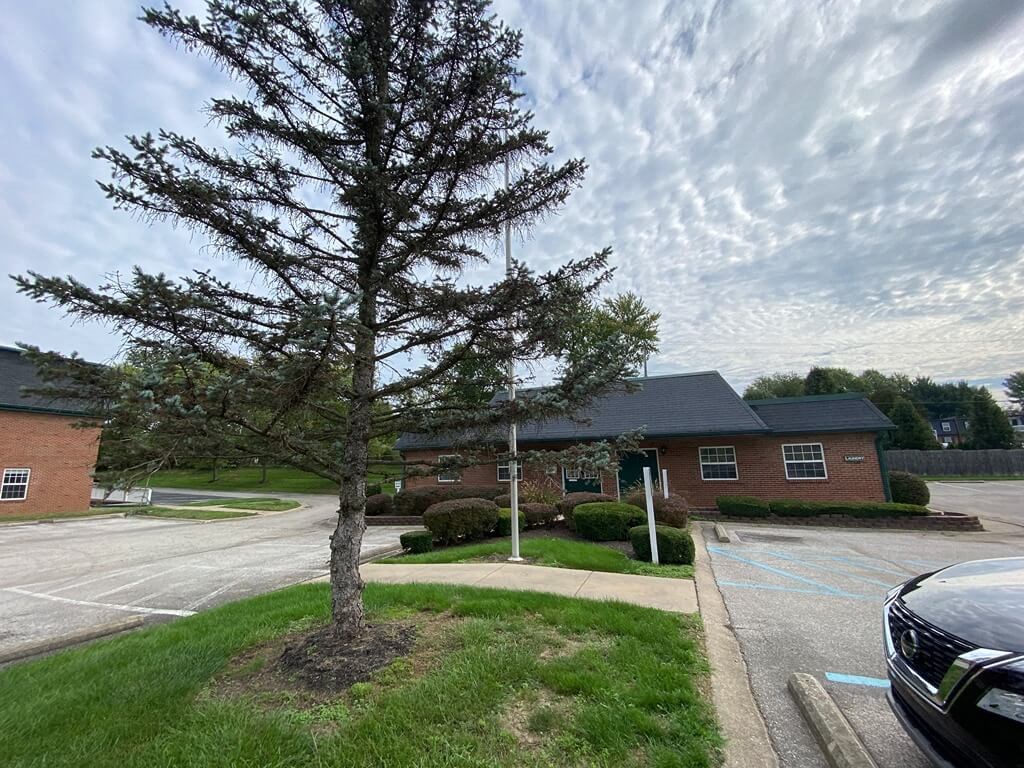 a tree in a parking lot in front of a house