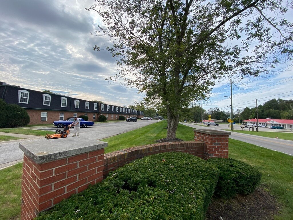 a brick retaining wall with a tree in front of a building