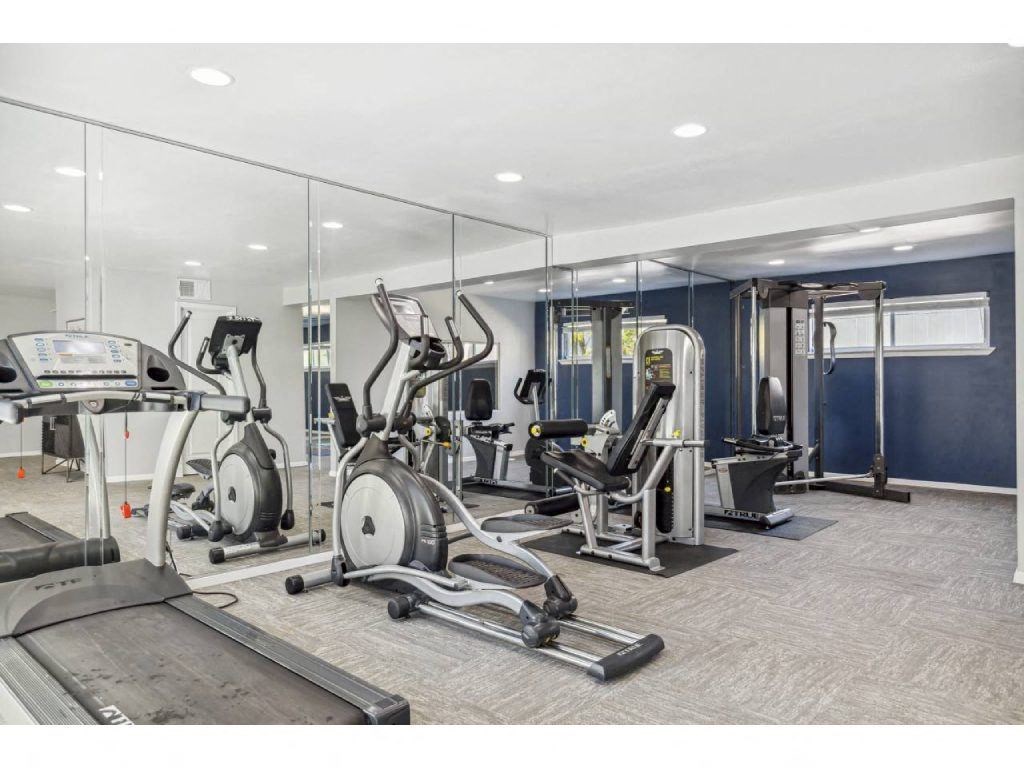 the gym has plenty of equipment for all of your workouts