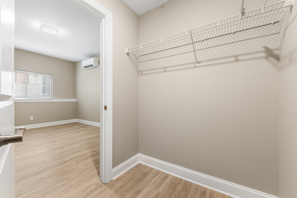 Lower Bedroom Closet