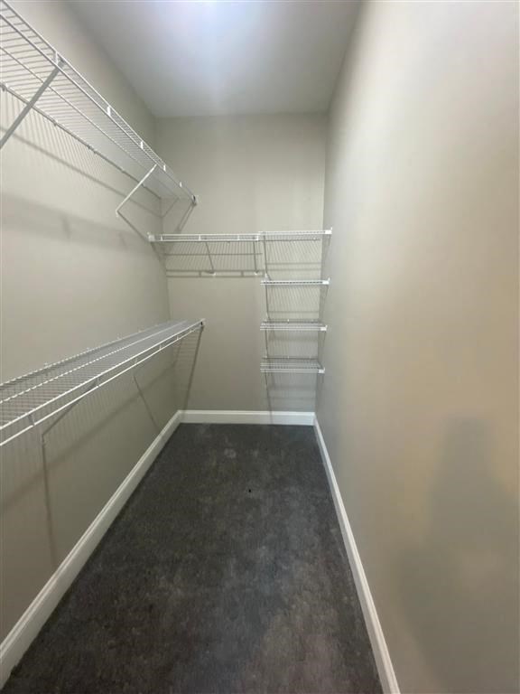 a walk in closet with empty shelves and a dark carpet