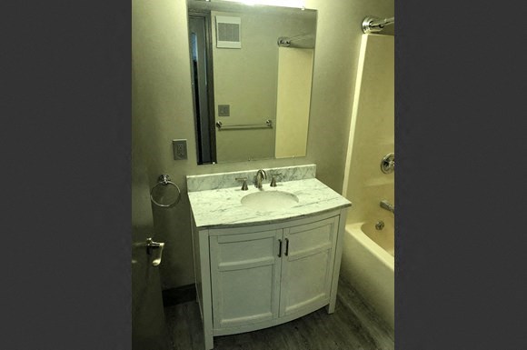 a bathroom with a white sink and a mirror