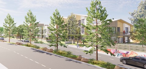 A street view of a residential area with modern houses and trees.