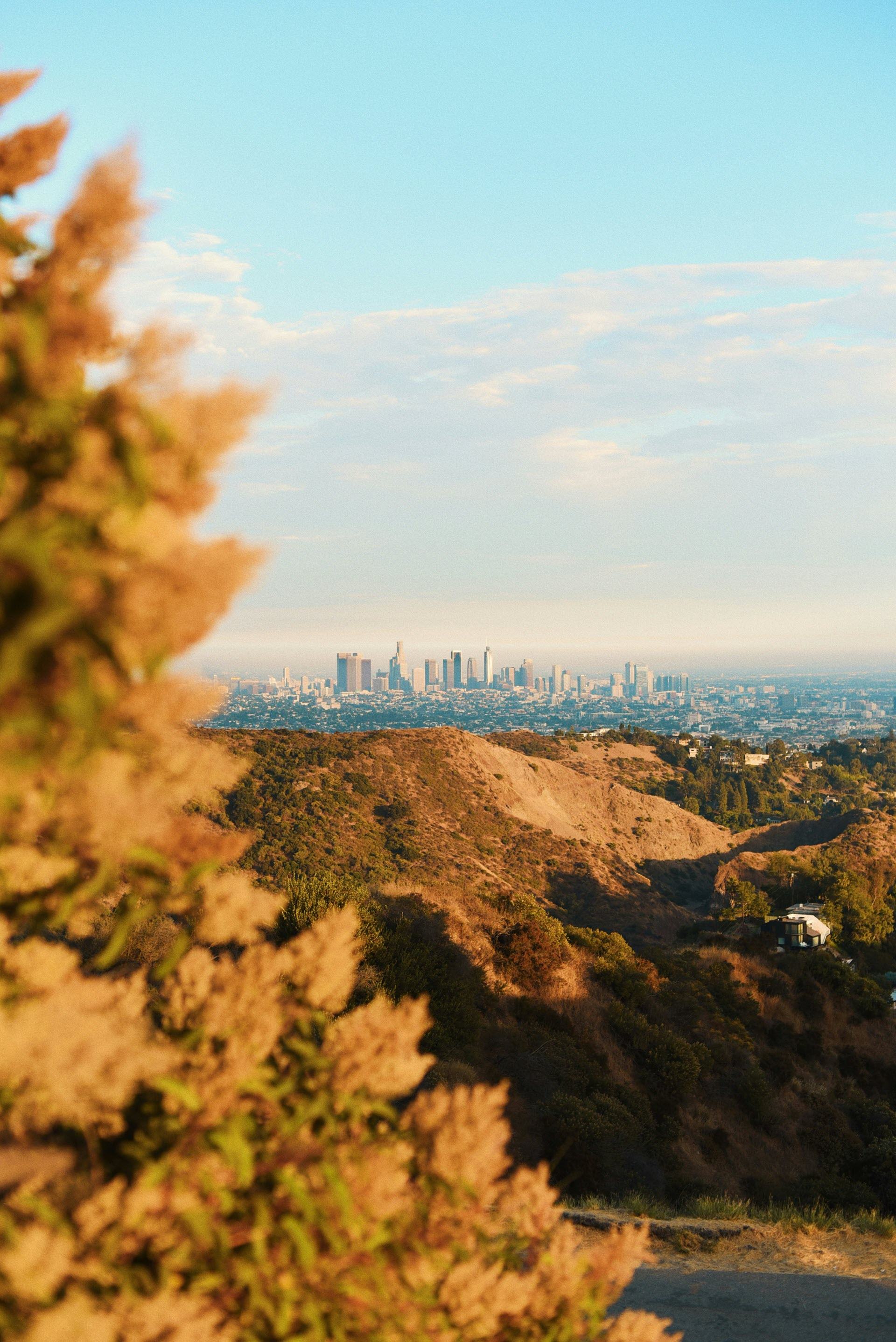 A city skyline is visible through a natural landscape.