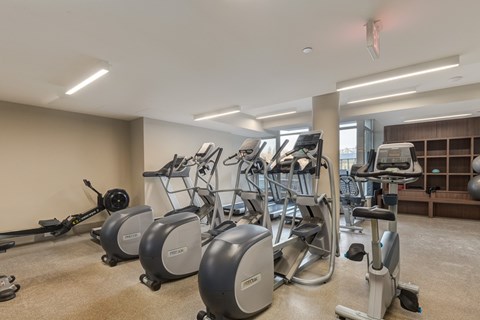 A gym with a row of elliptical machines.