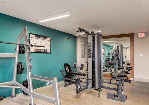 A gym with a variety of equipment including a squat rack, a leg press machine, and a bench press.