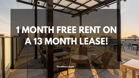 A promotional image for a 1 month free rent on a 13 month lease offer.