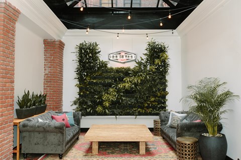 A living room with a couch, a table, and a green plant.