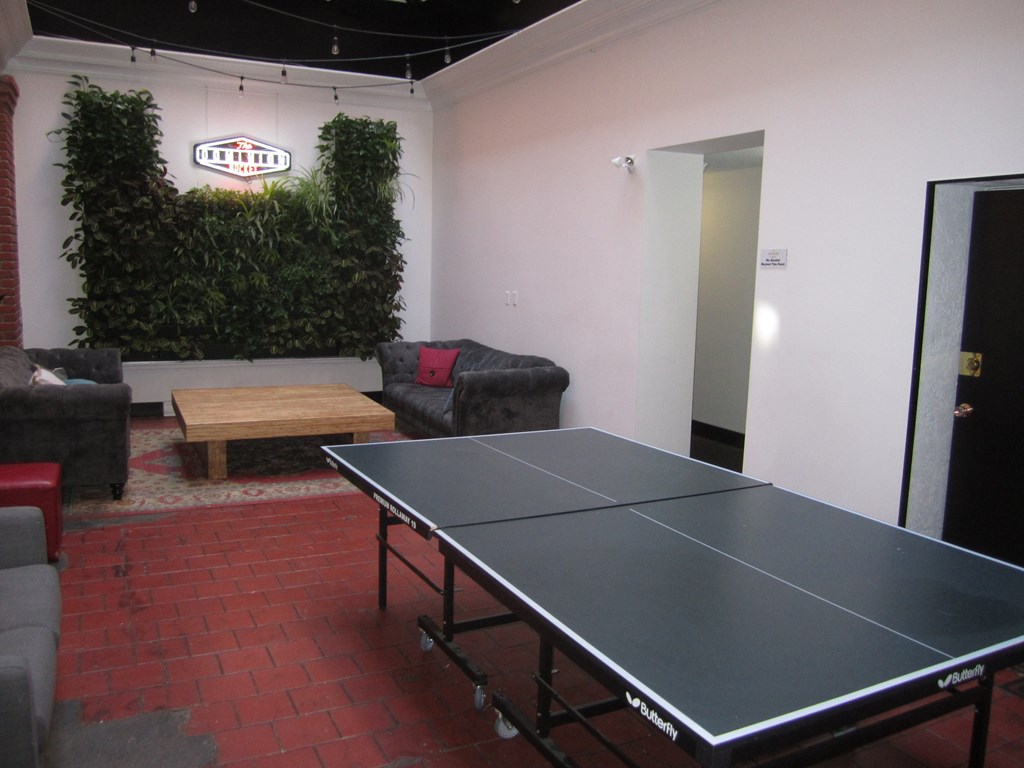A ping pong table is in the middle of a room with a green plant on the wall.
