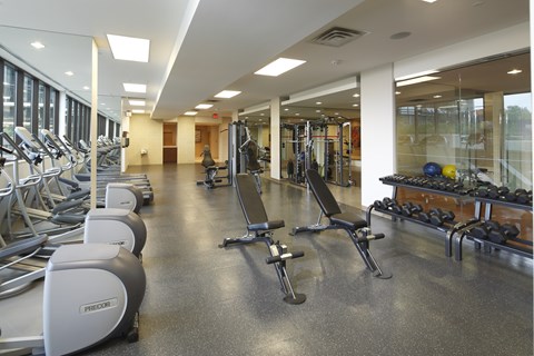 A gym with treadmills, weights, and exercise equipment.