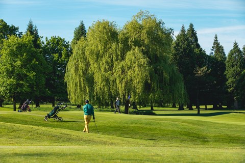 A man is playing golf on a sunny day.