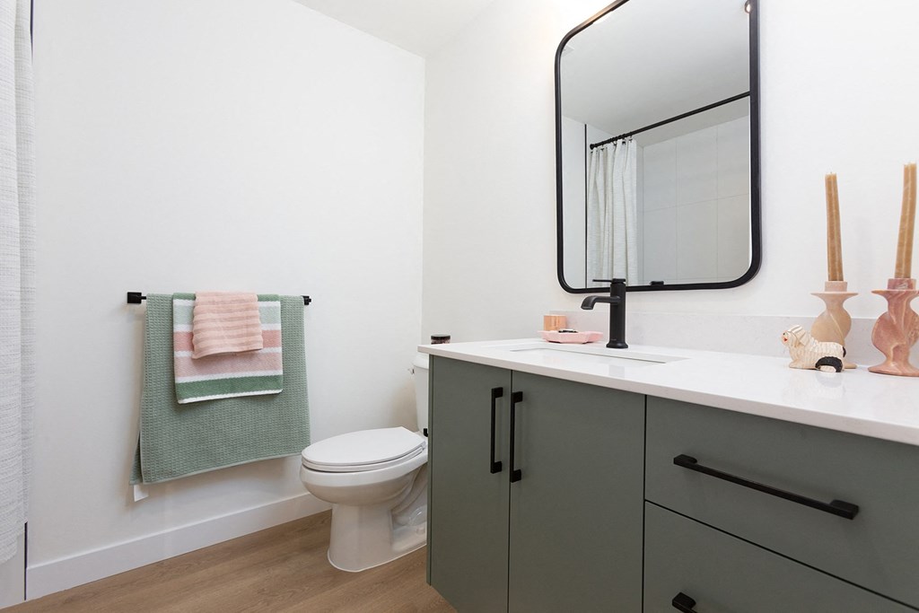 a bathroom with a sink and a toilet and a mirror