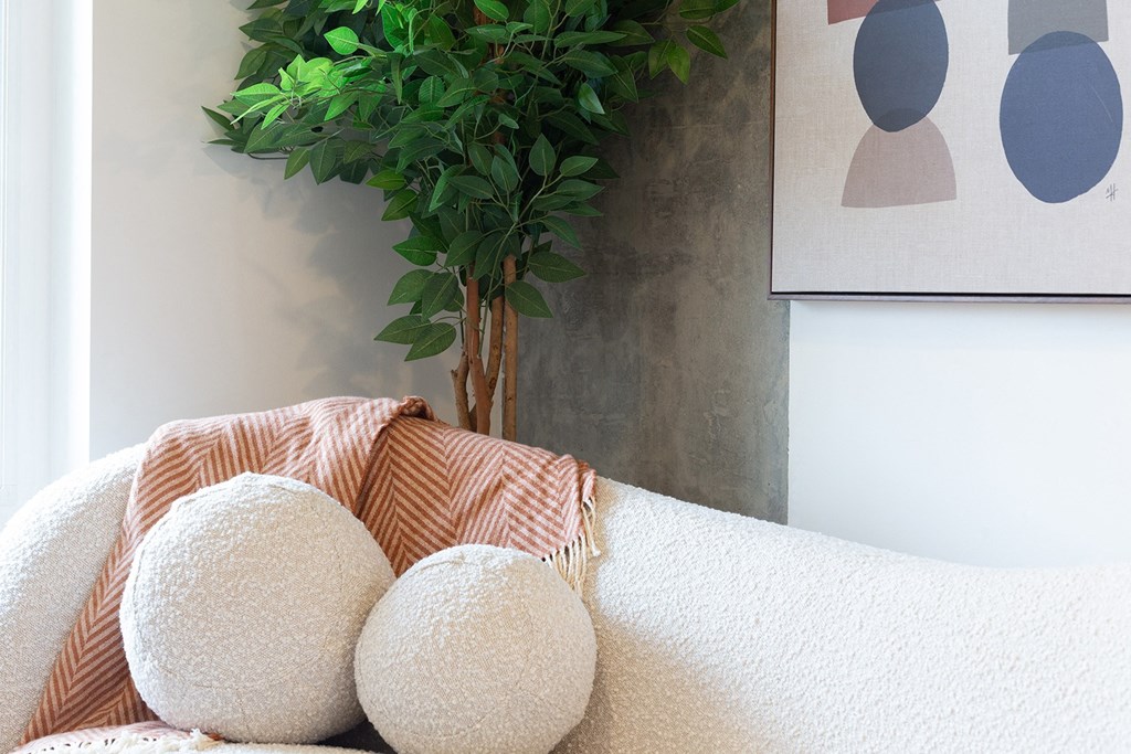 a living room with a couch and pillows and a tree