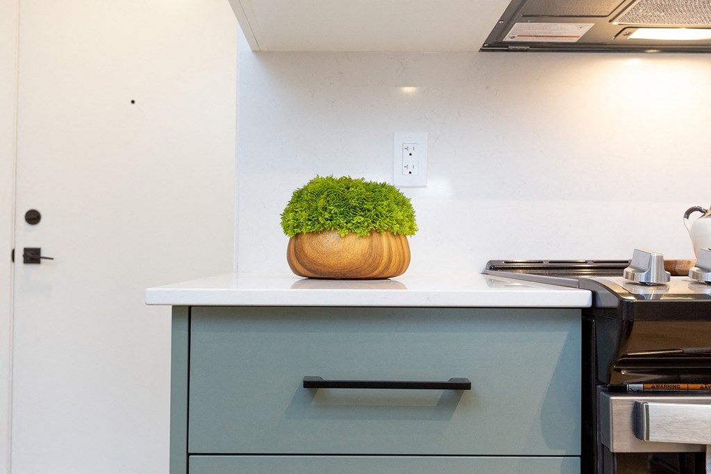 a kitchen counter with a plant on top of it