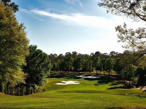 A golf course with a clear blue sky and trees surrounding the green.