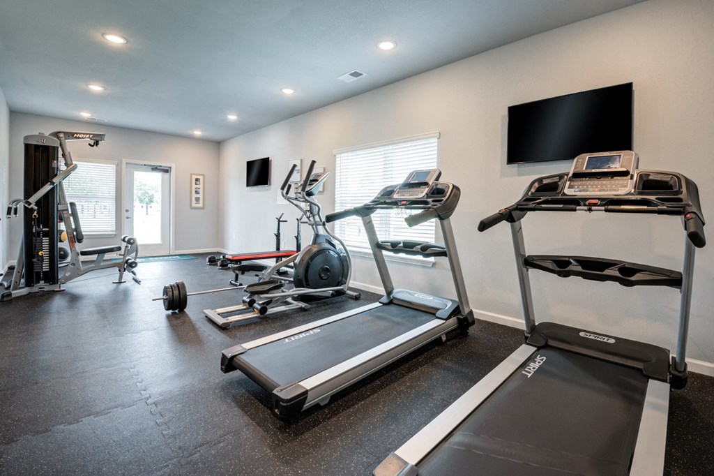 the gym is equipped with cardio equipment and a flat screen tv