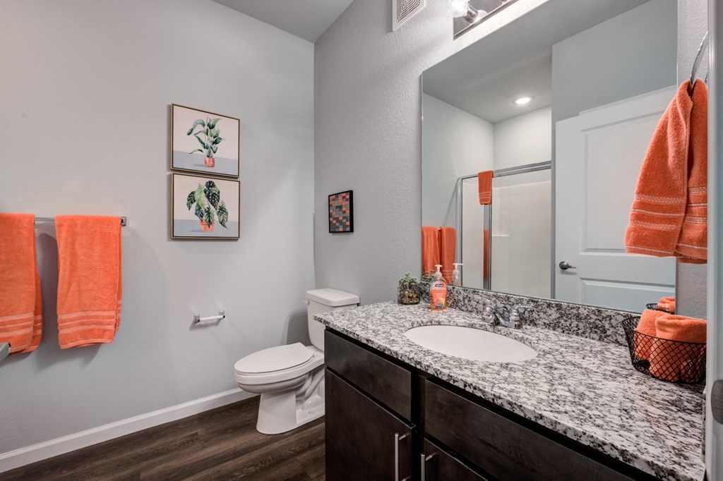 a bathroom with a sink and a toilet and a mirror