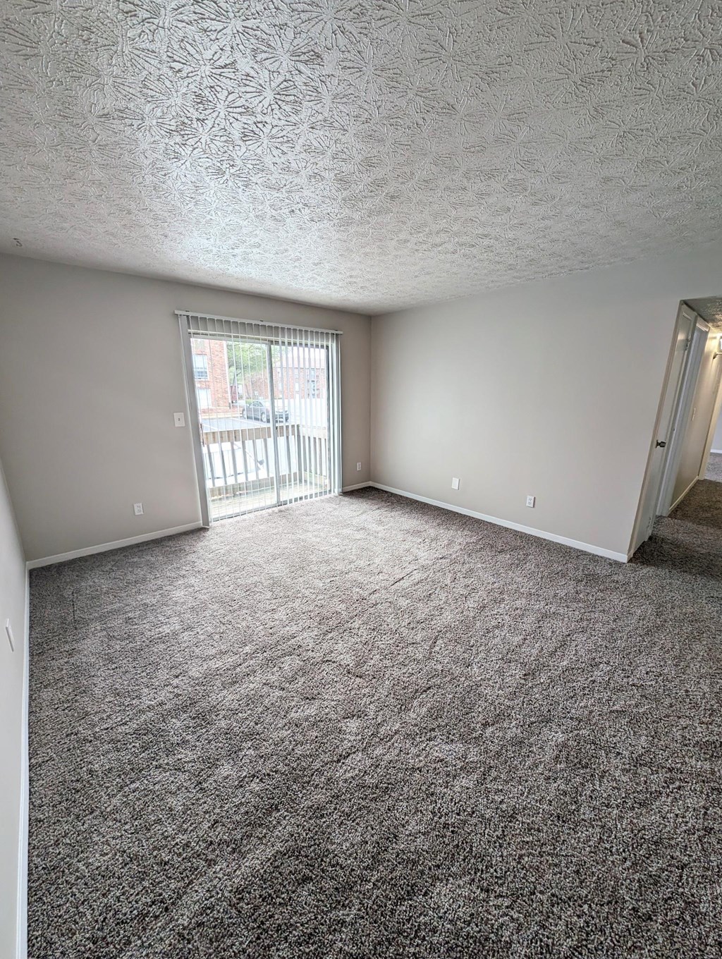 LArge Sliding Doors High Park