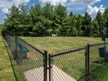 Dog Park