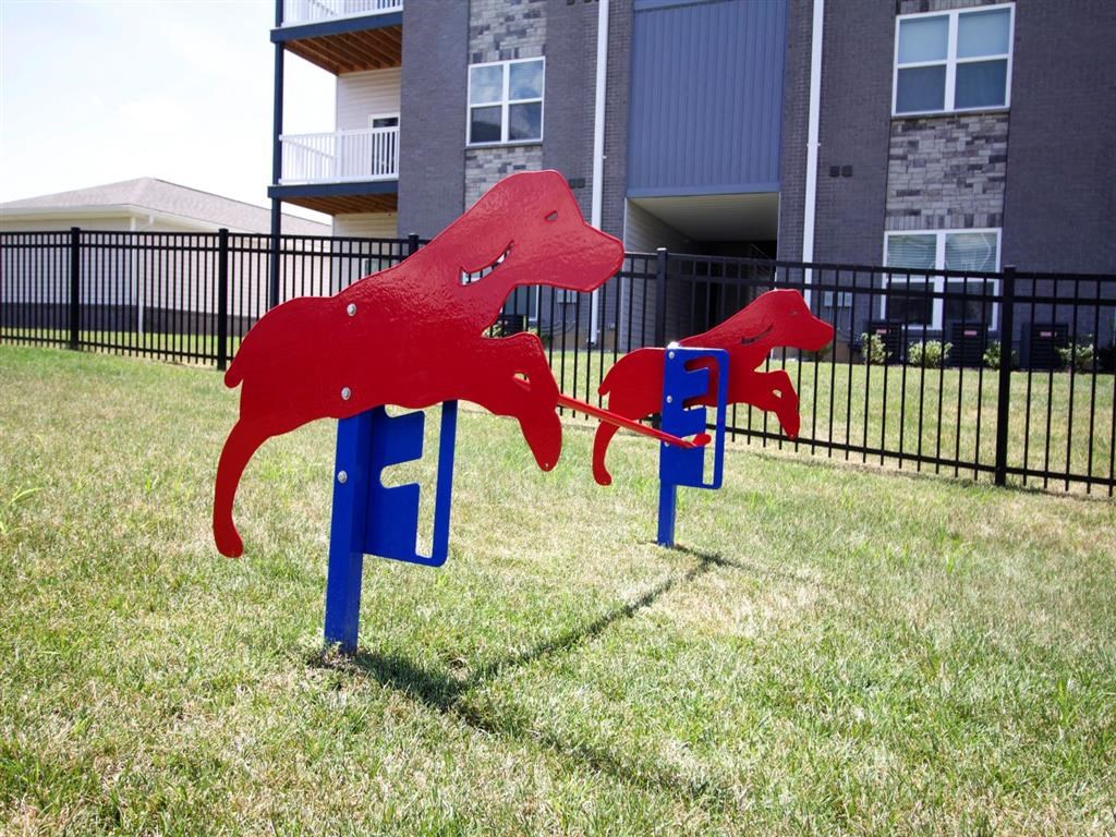 two red dogs sitting on chairs in the grass