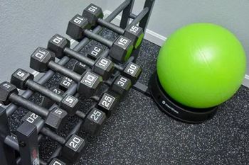 Rack of dumbbells next to a green ball
