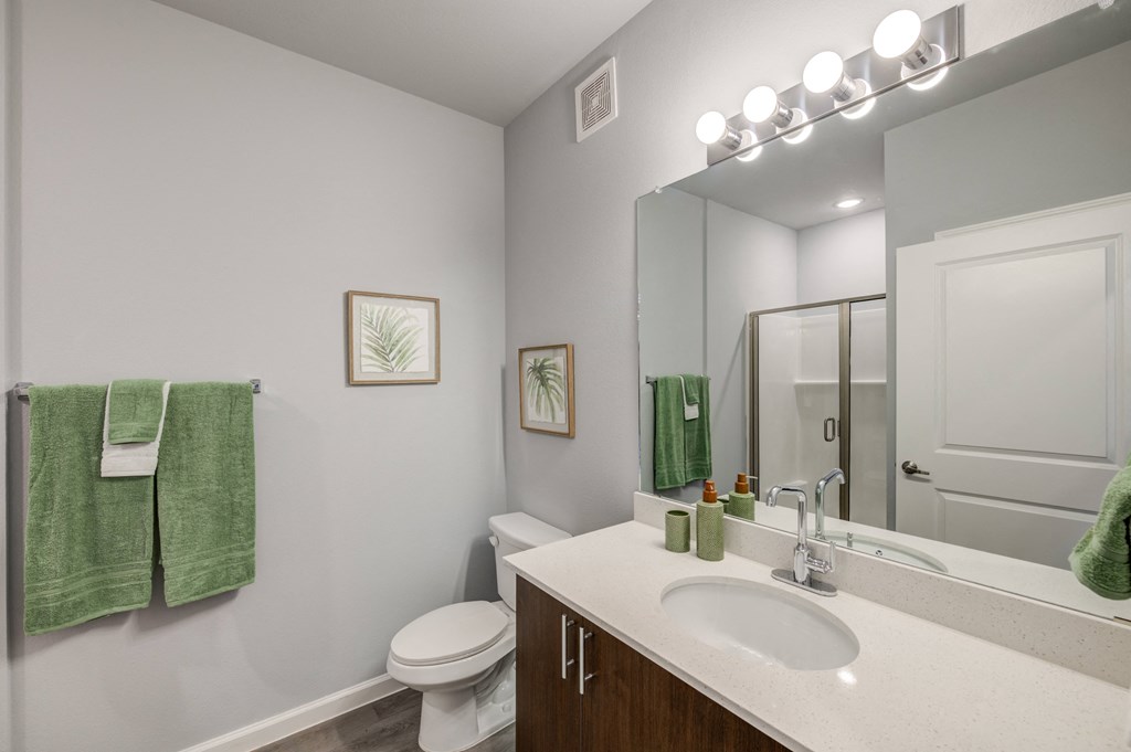 a bathroom with a sink and a toilet and a mirror