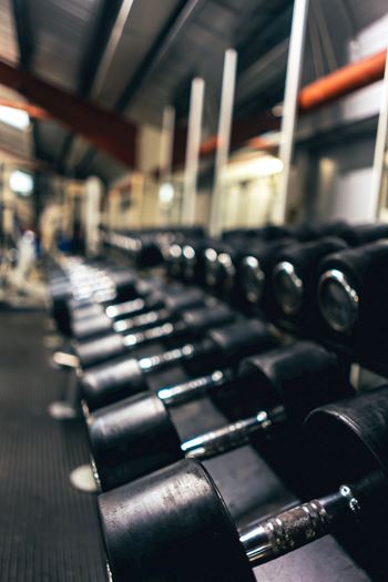 a row of dumbbells in a gym