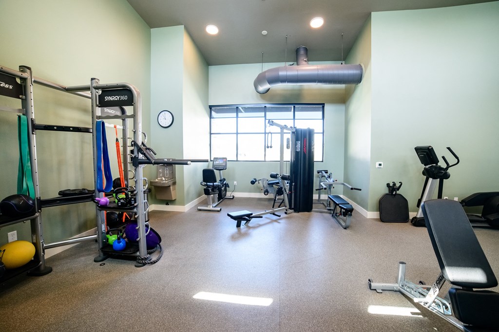 a gym with a lot of exercise equipment and a window