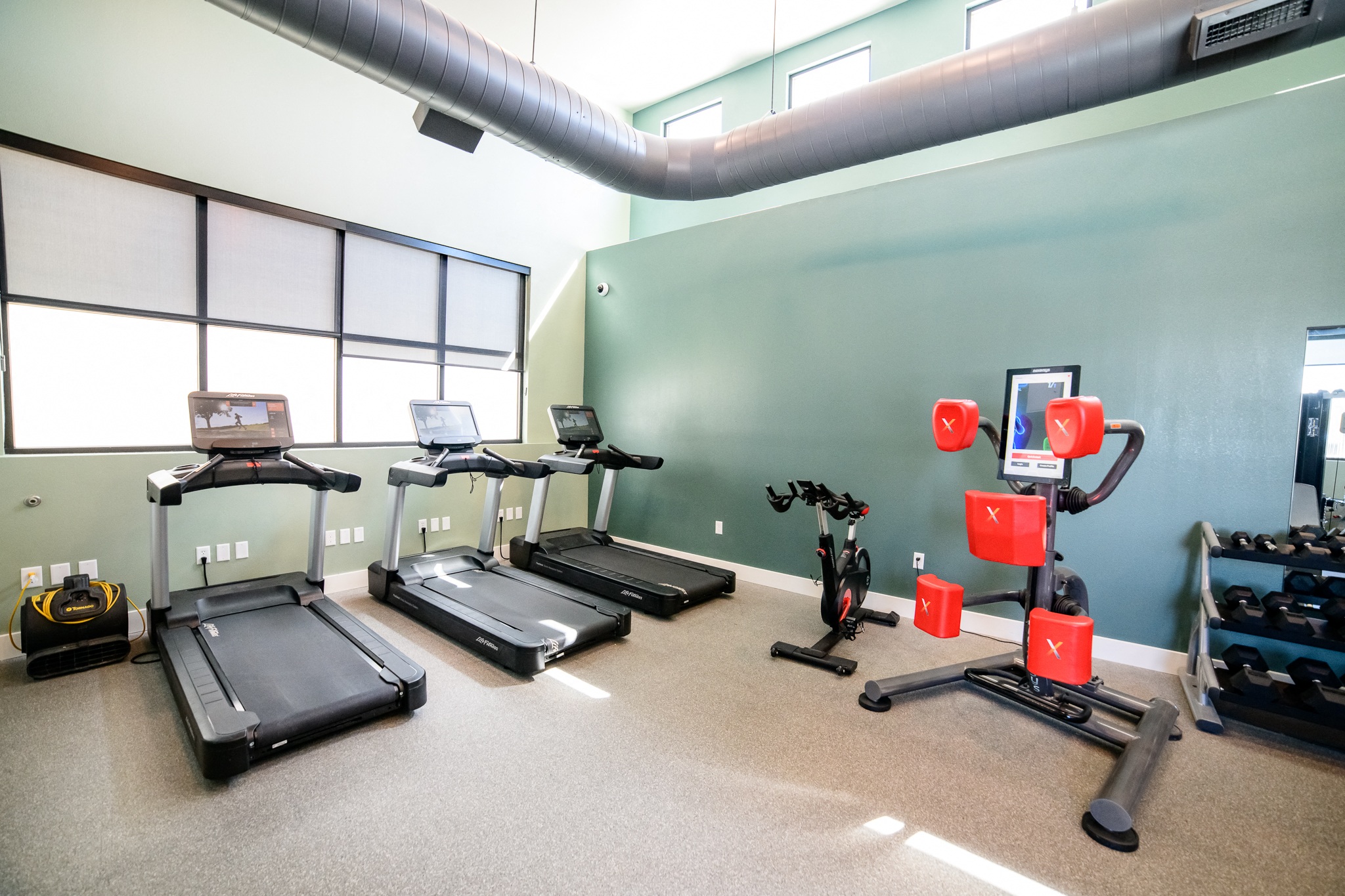 Treadmill liegenlasse rental edmonton