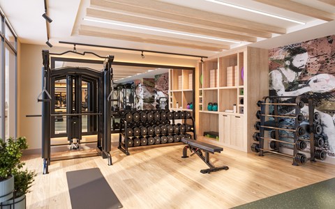 A gym with a variety of equipment including weights and a bench.