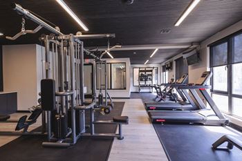 a gym with weights and cardio equipment and windows