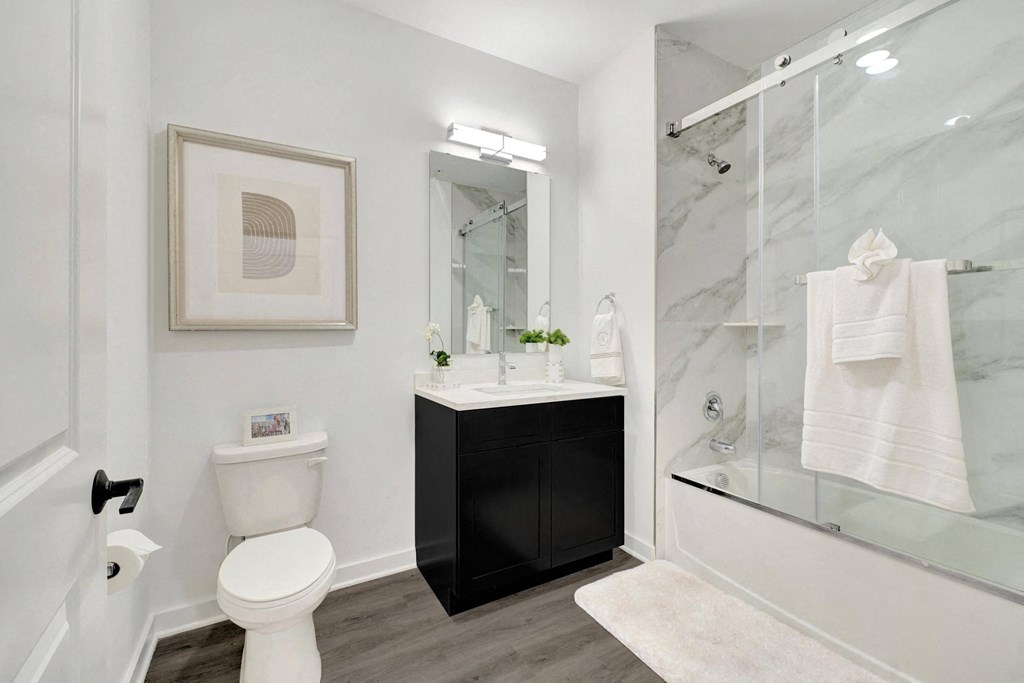 a bathroom with a shower toilet and a sink