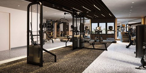 A gym with a variety of equipment including a squat rack, bench press, and a rowing machine.