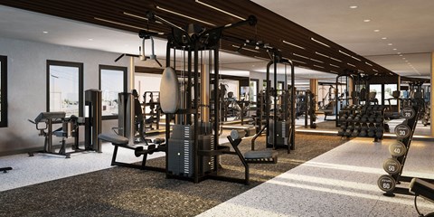 A gym with a variety of equipment including a squat rack, bench, and weights.