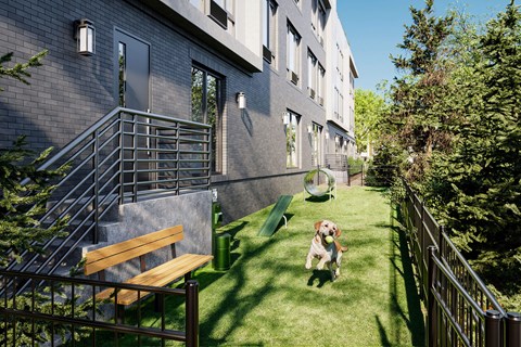 A dog is sitting on a green lawn next to a bench.