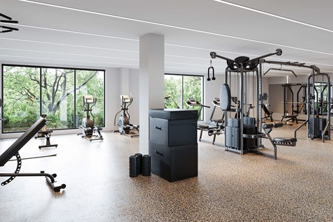 A gym with a variety of equipment including treadmills, weights, and exercise machines.