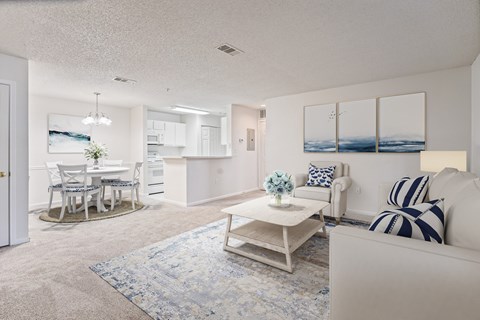 A living room with a white couch and a blue rug.