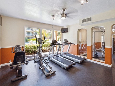 A gym with treadmills, elliptical machines, and a stationary bike.