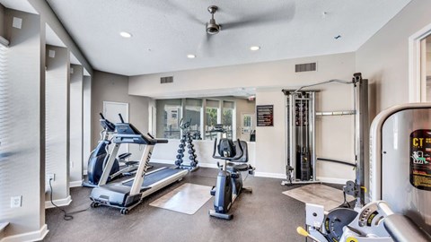 A spacious gym with treadmills, elliptical machines, and other exercise equipment.