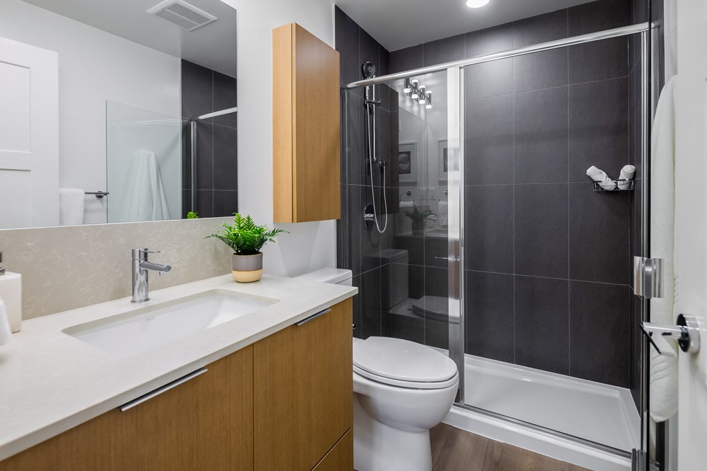 A modern bathroom with a white sink, toilet, and a walk-in shower.